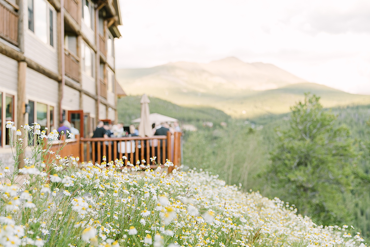 Beautiful wildflowers covered the ground at The Lodge at Breckenridge in August.