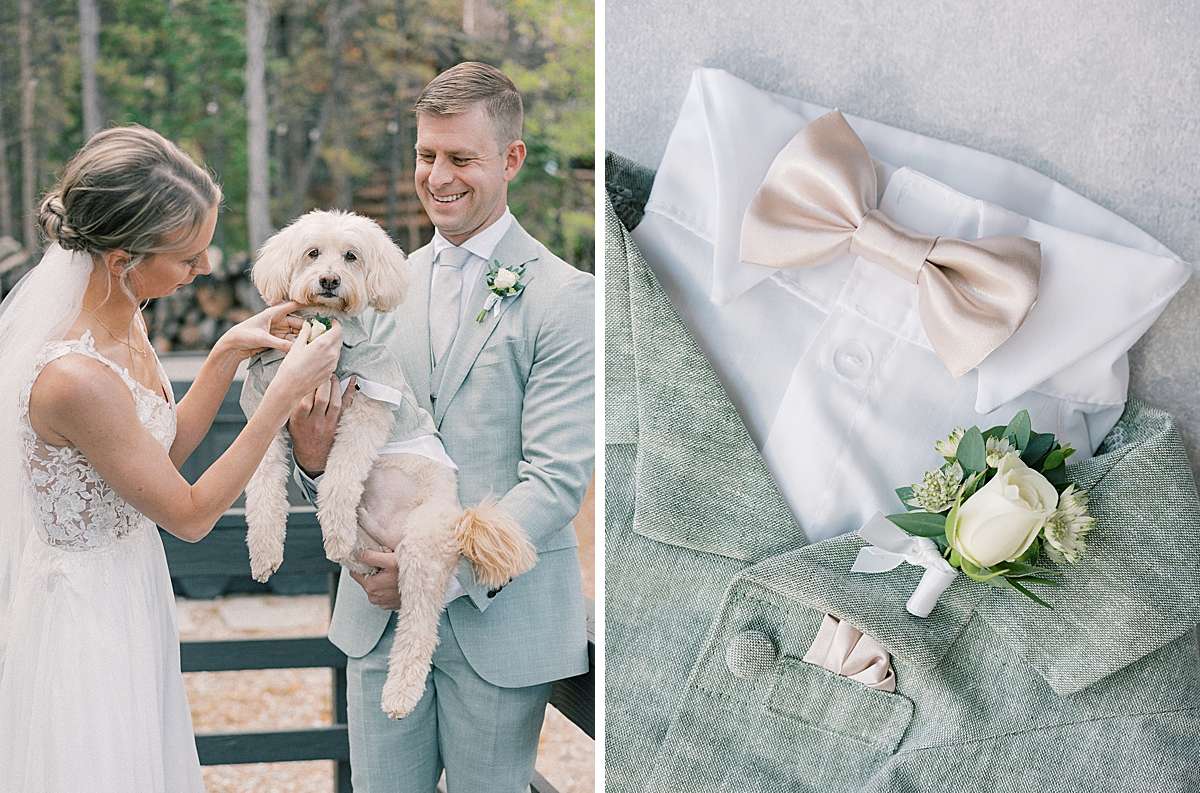 Ollie the dog gets dressed in a custom dog suit for his parent's wedding