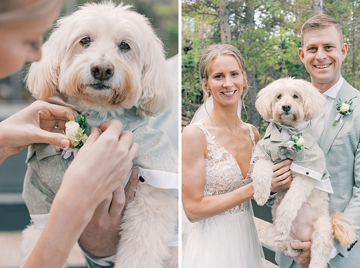 Ollie the dog gets in boutonnière pinned on for his pawrent's elopement