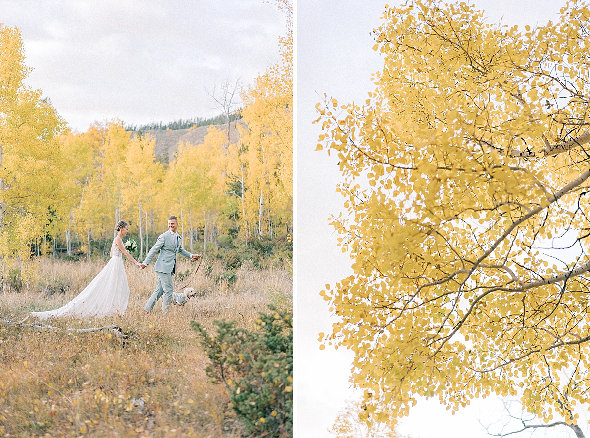 A Colorado couple elopes with their dog in the yellow aspen trees