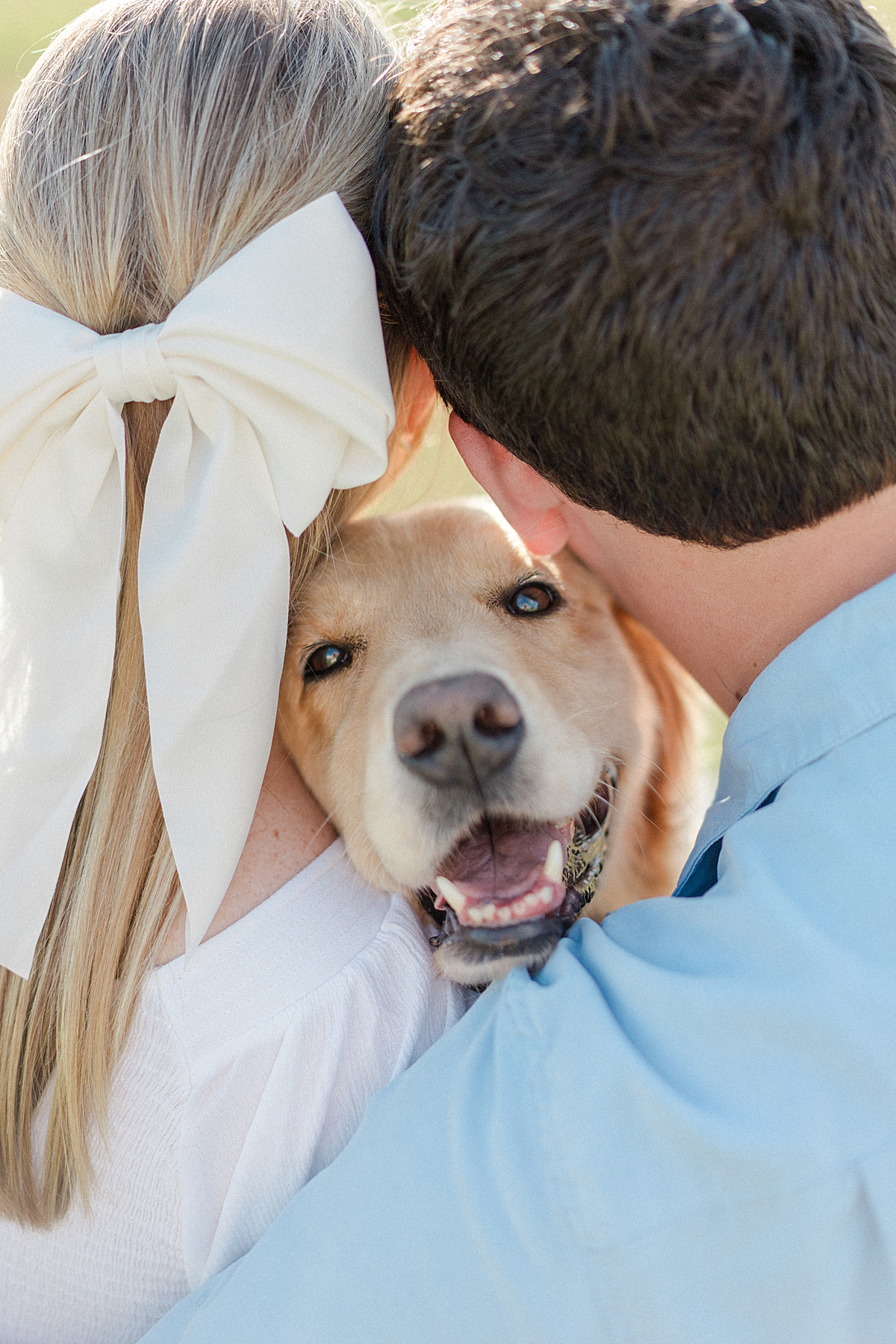 Boulder engagement photos with a golden retriever dog