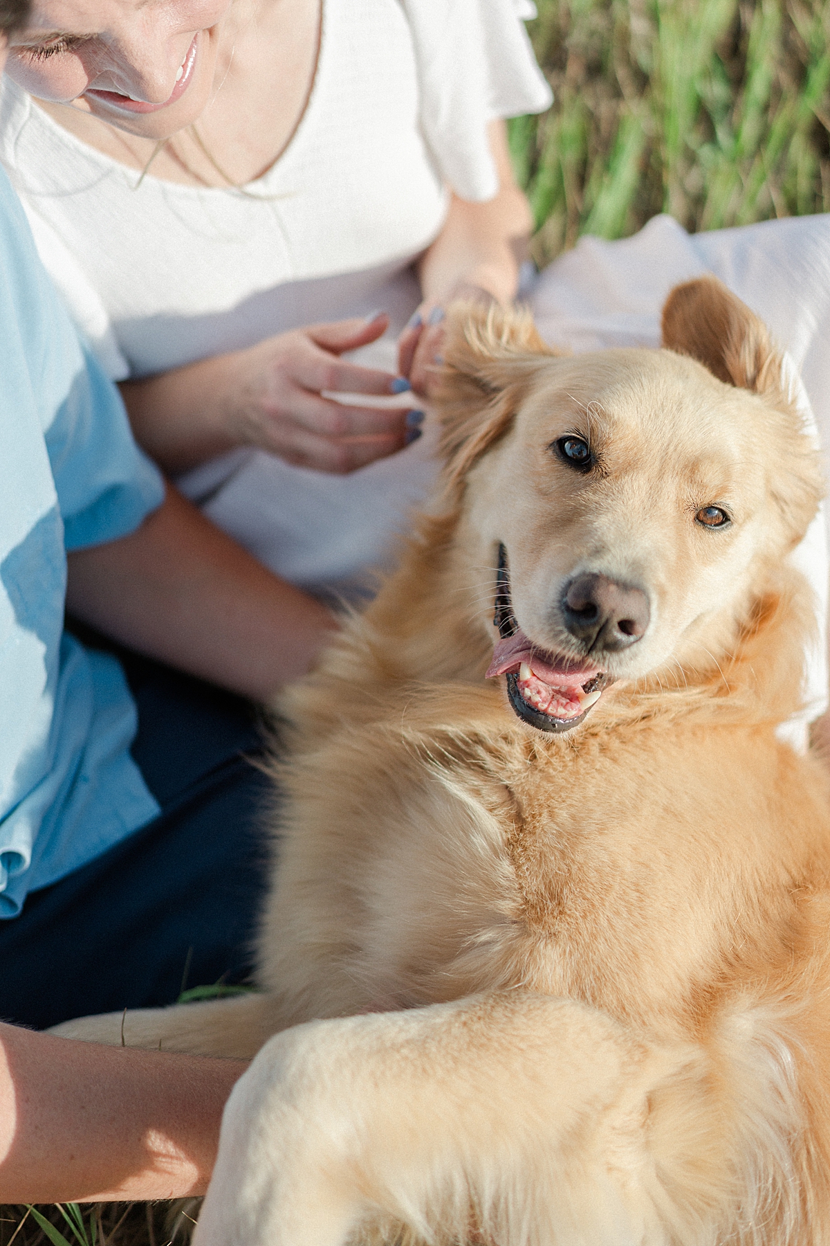 A golden retriever dog lays in her owner's lap during their boulder engagement photos.