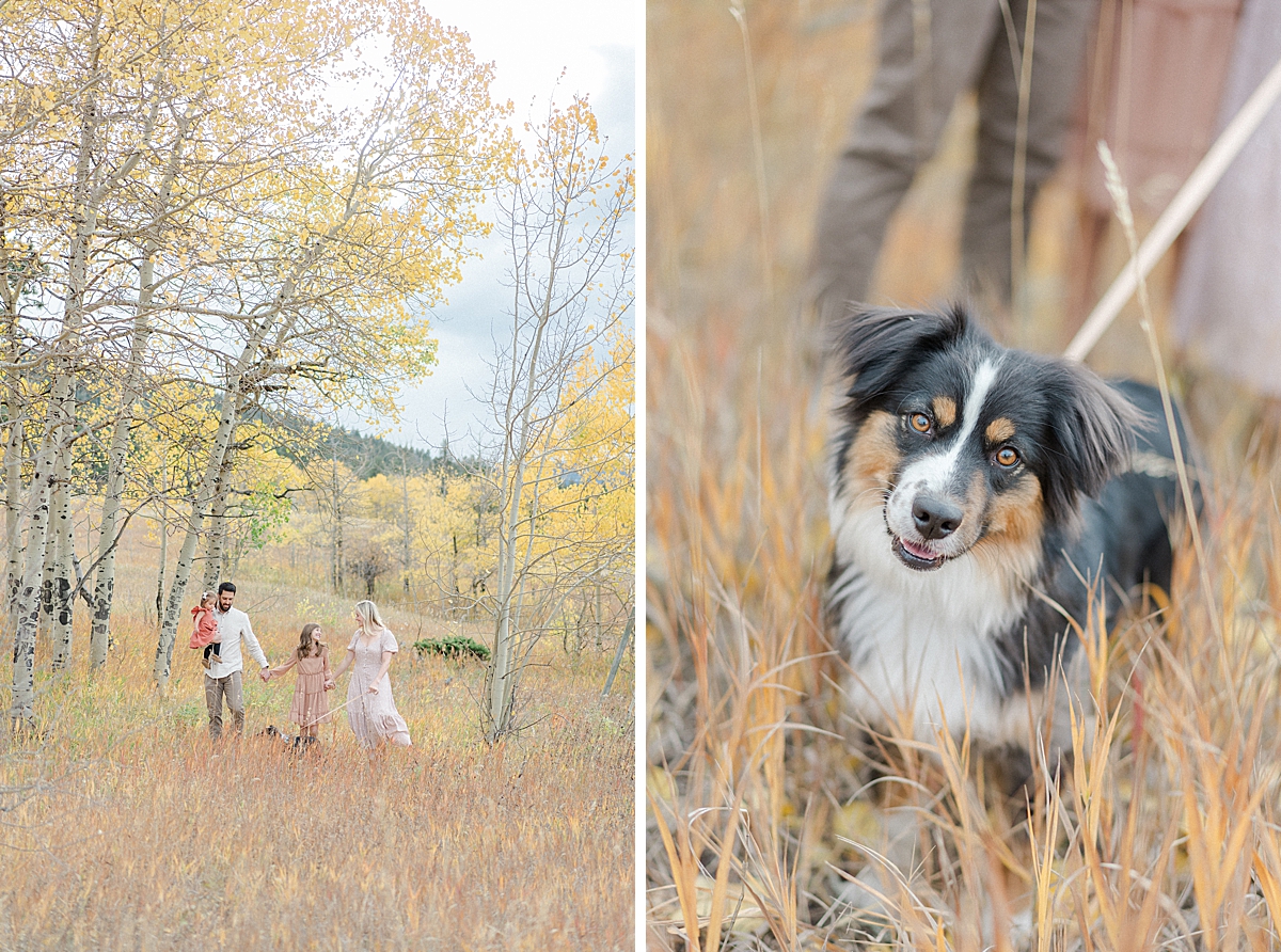 Fall family photos near Evergreen