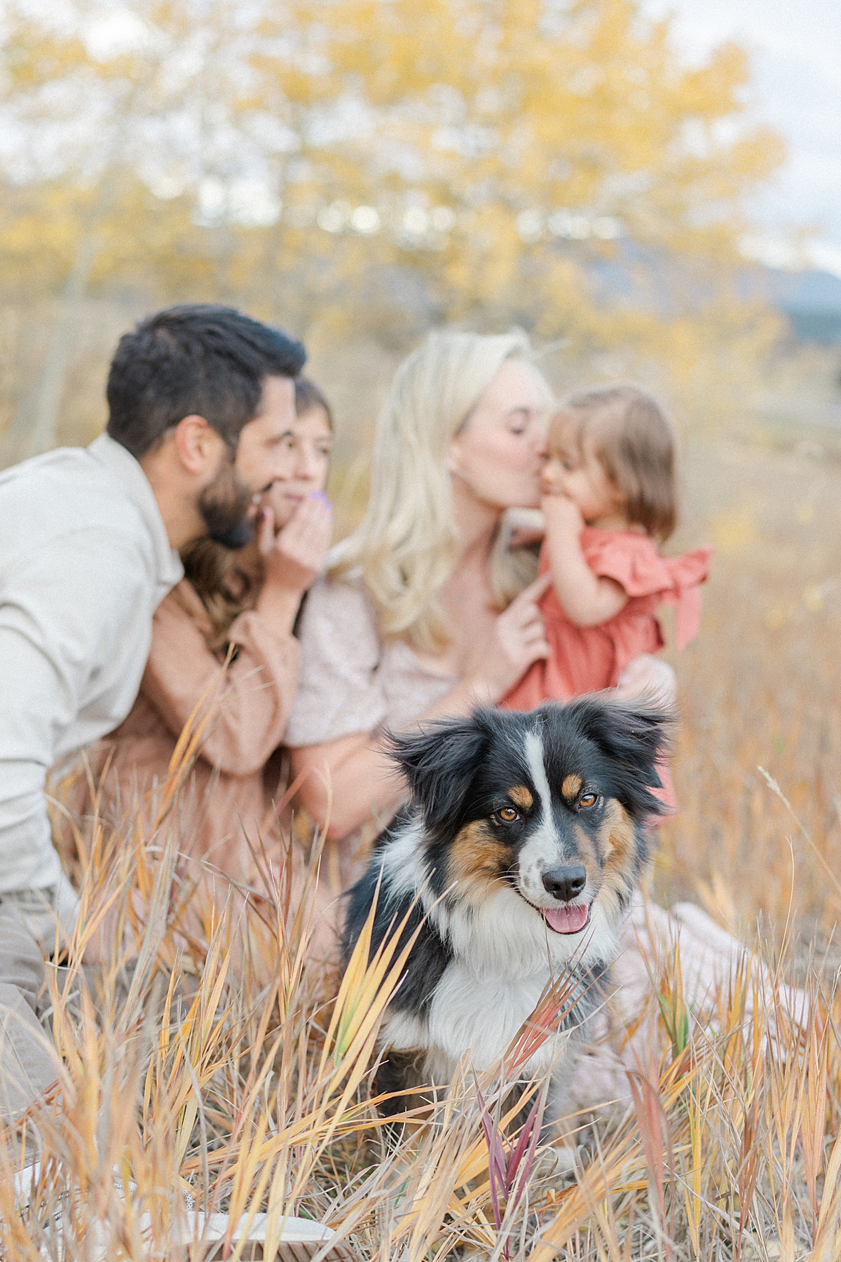 Fall family photos near Evergreen Colorado