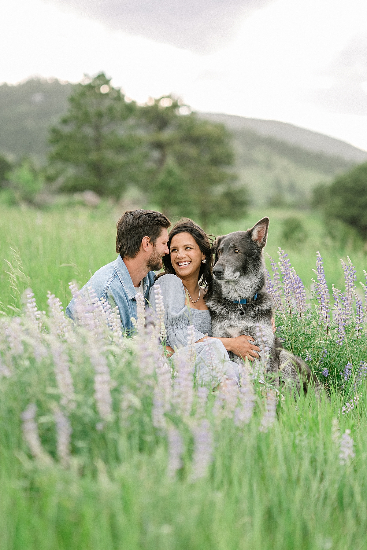 Boulder Maternity Photographer on Film in Summer wildflowers