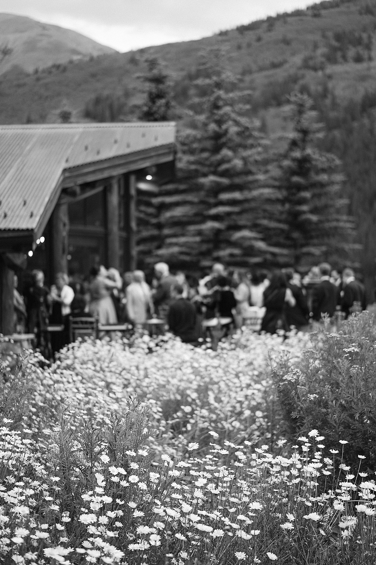 Pine Creek Cookhouse Wedding