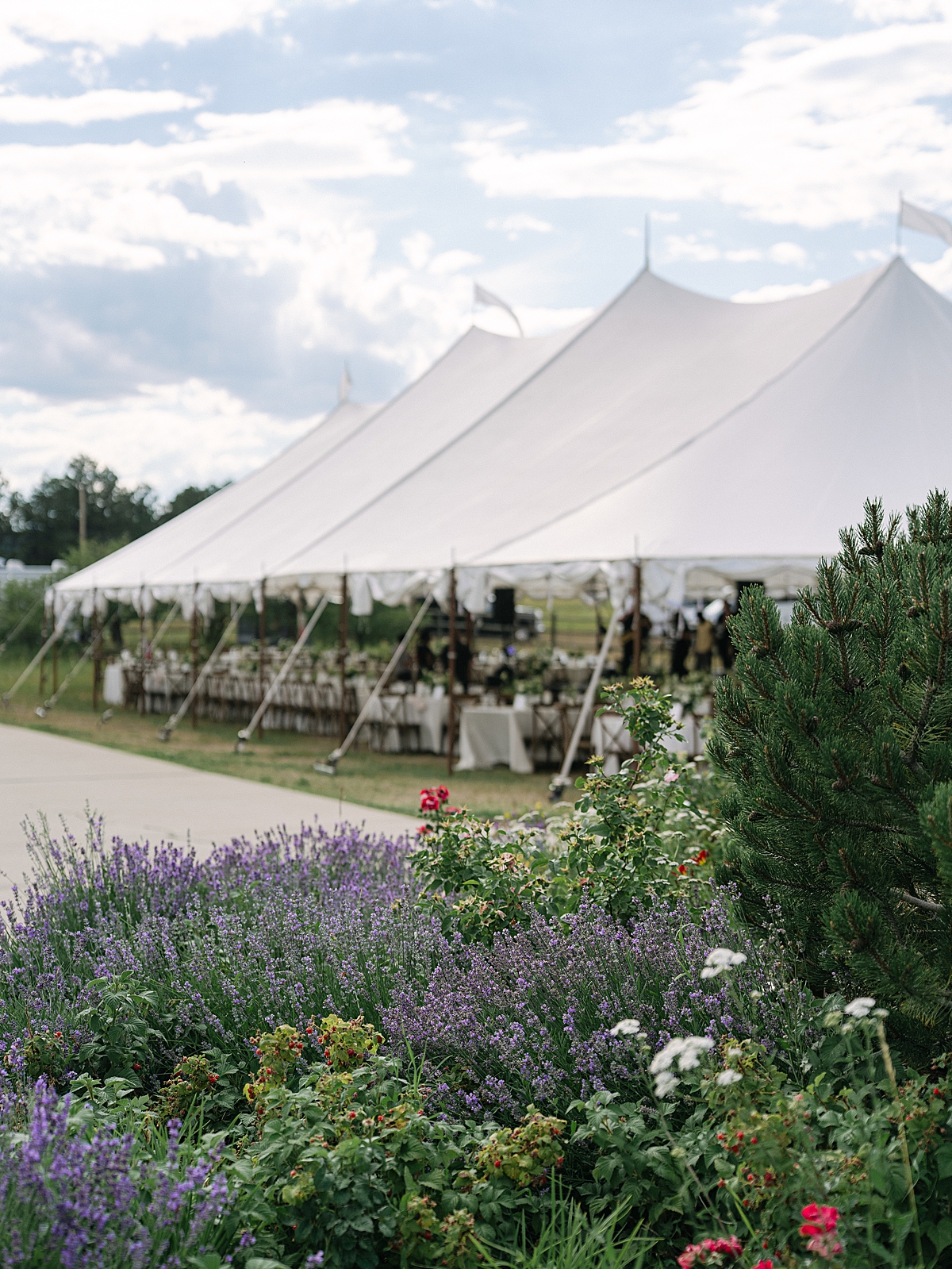 Greystone Castle Wedding, Boulder Wedding Photographer