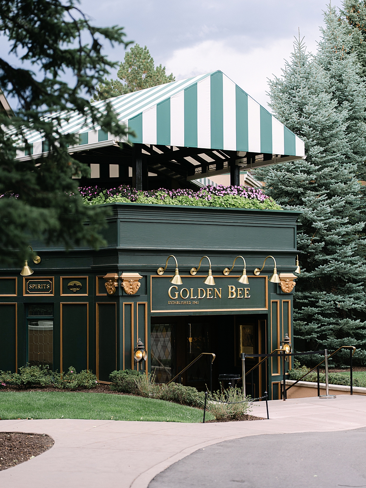 Golden Bee Wedding Welcome Party